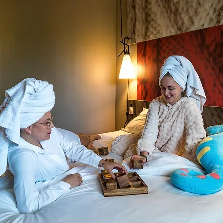 Ibis Arcachon De Buch 3*