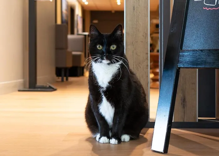 Ibis Arcachon De Buch 3* La Teste-de-Buch