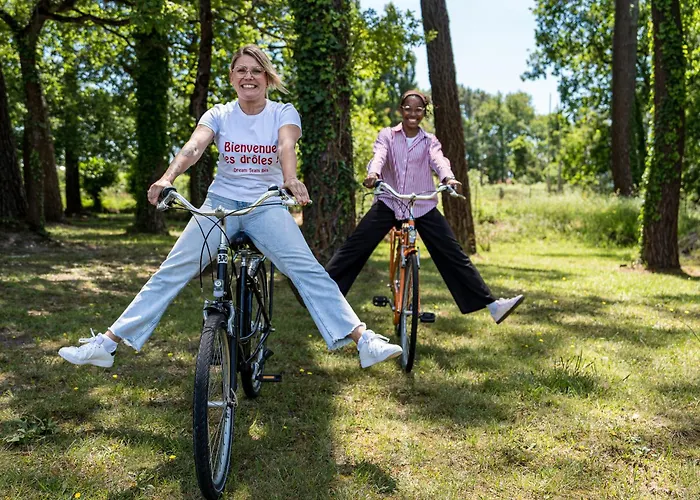 Ibis Arcachon De Buch 3*